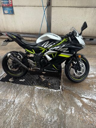 Kawasaki Ninja 125 Edición Especial 2019