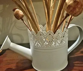 Innaffiatoio shabby chic bianco