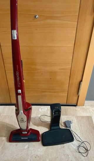 Aspiradora Electrolux Ergorapido 2 en 1