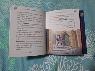 Il segreto delle fate delle stelle