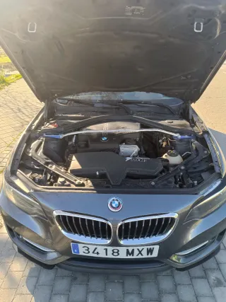 BMW Serie 2 2015