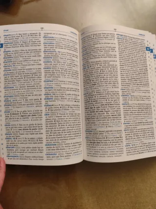 Diccionario Nivel Básico - Primaria (Spanish Ed...