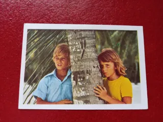 Cromos Pipi Calzaslargas Pide Tus Faltas