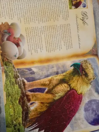 Libro puzzle