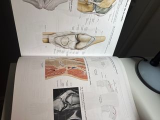 Atlas de Anatomía