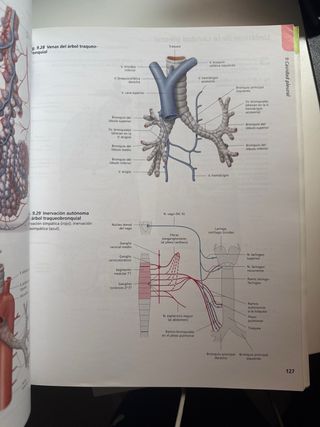 Atlas de Anatomía