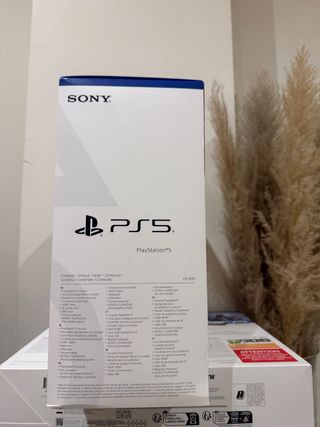 PlayStation 5 SSD da 1TB