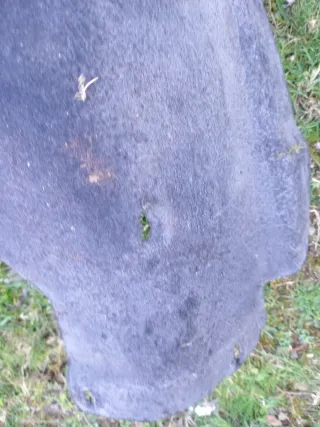 Pareja guardabarros delanteros Golf MK3 GTI