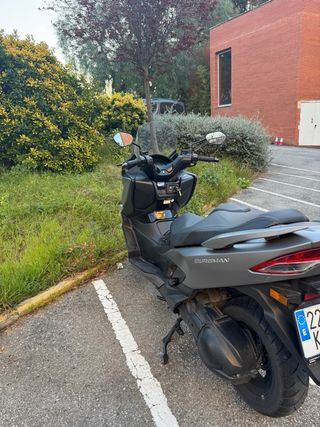 Suzuki Burgman 400 2019 Gris