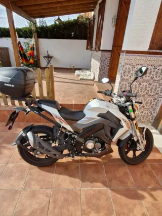 Top Case Shad Kenway RKF Negro