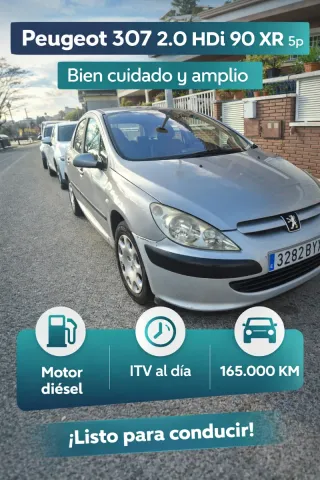 Peugeot 307 2002