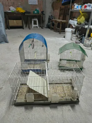 Jaulas para pájaros varios tamaños