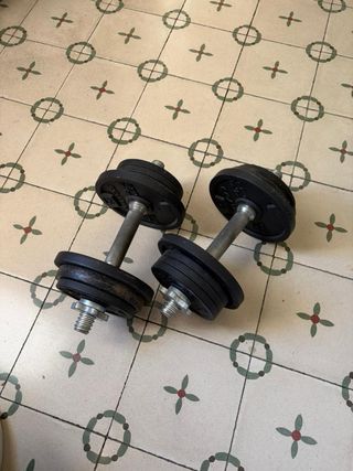 Pesas ajustables (X2)