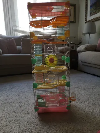 Jaula Hámster Roborovsky + Accesorios