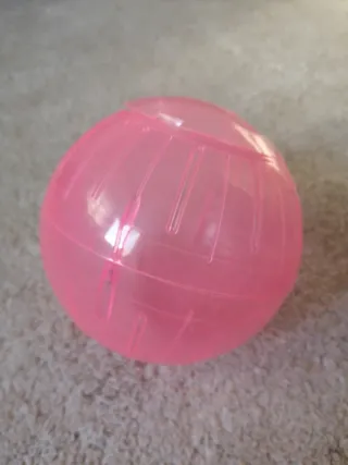 Jaula Hámster Roborovsky + Accesorios