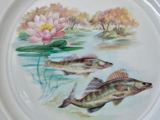 🇫🇷 Limoges 6 Platos Porcelana Pescado
