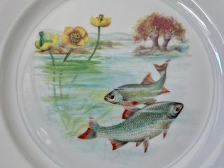 🇫🇷 Limoges 6 Platos Porcelana Pescado