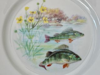 🇫🇷 Limoges 6 Platos Porcelana Pescado