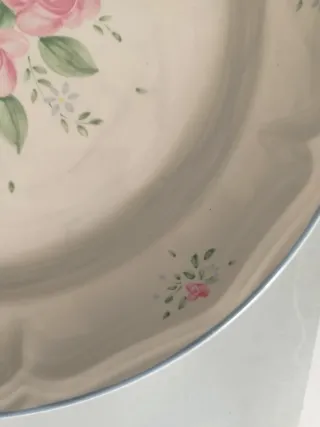 Plato de porcelana Reverie Stoneware