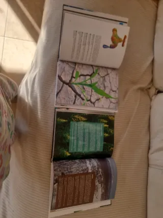 Libro planeta ecológico