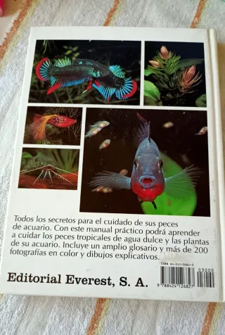 Todo sobre tu acuario