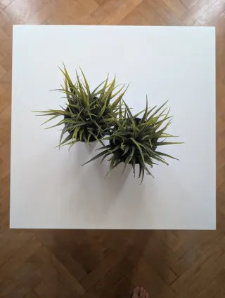 Mesa auxiliar Ikea 55x55 cm