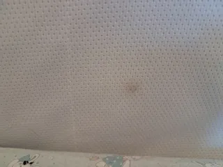 Lettino/Dondolo Next to Me della Zibos