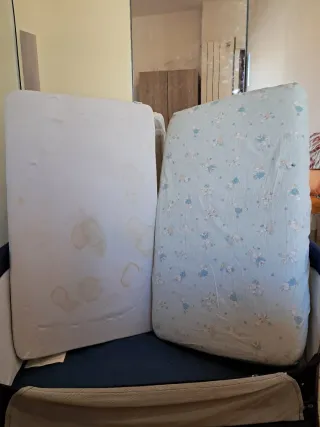 Lettino/Dondolo Next to Me della Zibos