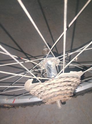 Rueda 20" trasera 20x2.00