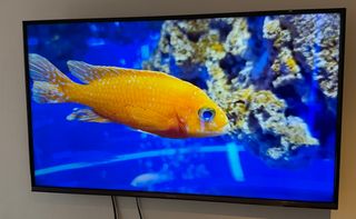 Panasonic 49” 4K Smart TV TX-49FX550E