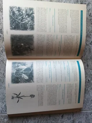 MIL PLANTAS MEDICINALES