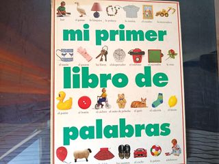 Mi primer libro de palabras