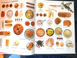 Mi primer libro de palabras