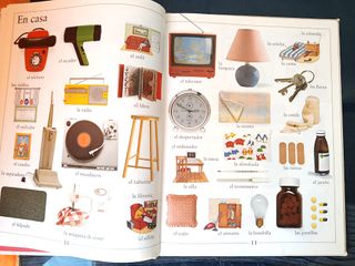 Mi primer libro de palabras