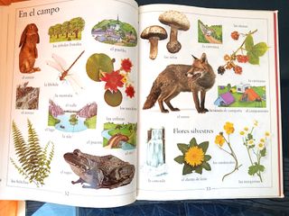 Mi primer libro de palabras