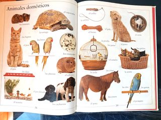 Mi primer libro de palabras