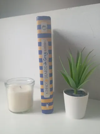 Diario de Greg 16 - El número 1