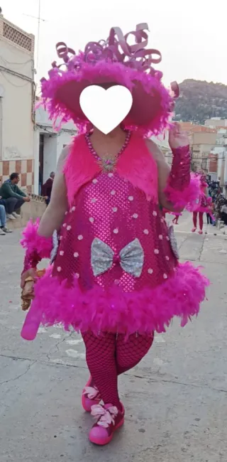 Disfraz Carnaval Rosa Brillante