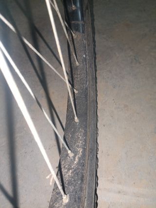 Rueda delantera 26x1,75 - Rueda llanta delantera 2