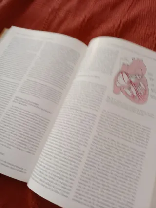 Anatomia y fisiologia del sistema nervioso: neu...