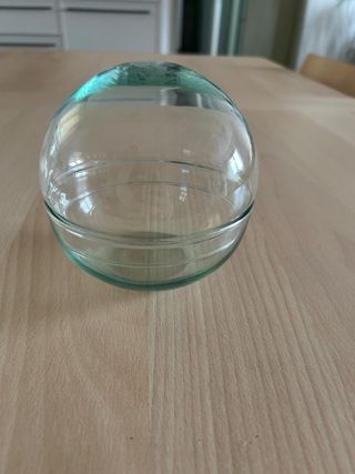 Bola cristal para terrario plantas