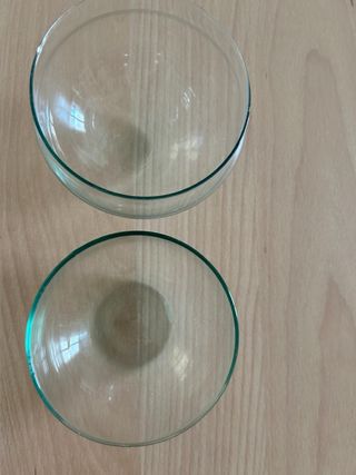 Bola cristal para terrario plantas