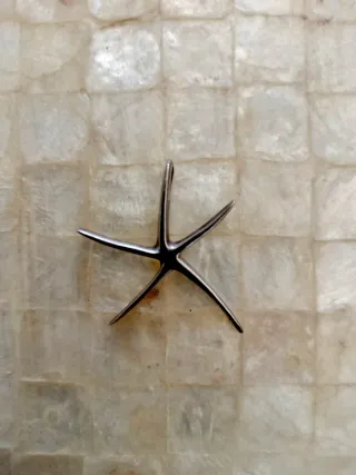 Colgante Estrella de Mar Plata 925