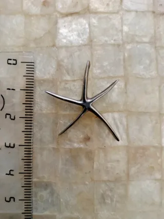 Colgante Estrella de Mar Plata 925