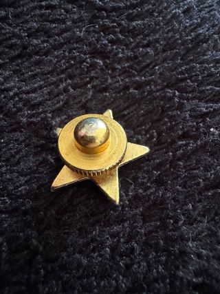 Spilla Stella Militare Dorata