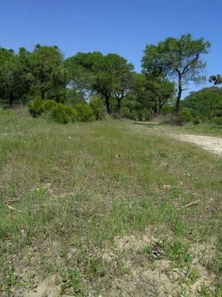 Chalet en venta en Zona Pueblo en Guardamar del Segura