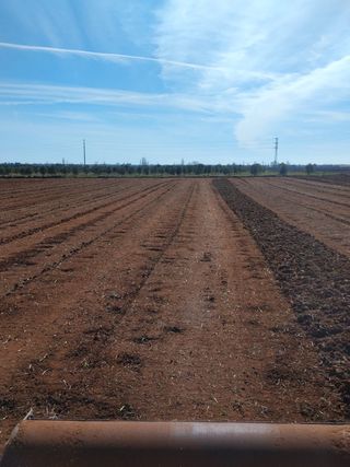 SERVICIOS AGRÍCOLAS DE TODO TIPO.
