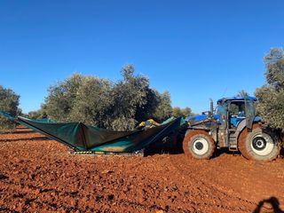 SERVICIOS AGRÍCOLAS DE TODO TIPO.