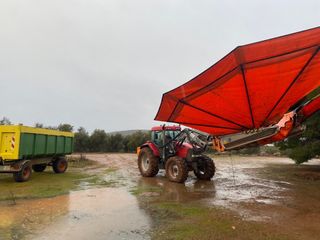 SERVICIOS AGRÍCOLAS DE TODO TIPO.