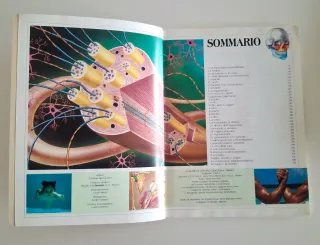 3 libri per ragazzi/ bambini